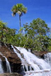 刘世飞律师个人网站